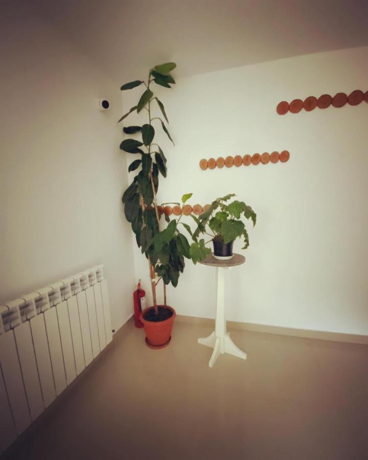 Maison Platanus Войняса Екстериор снимка