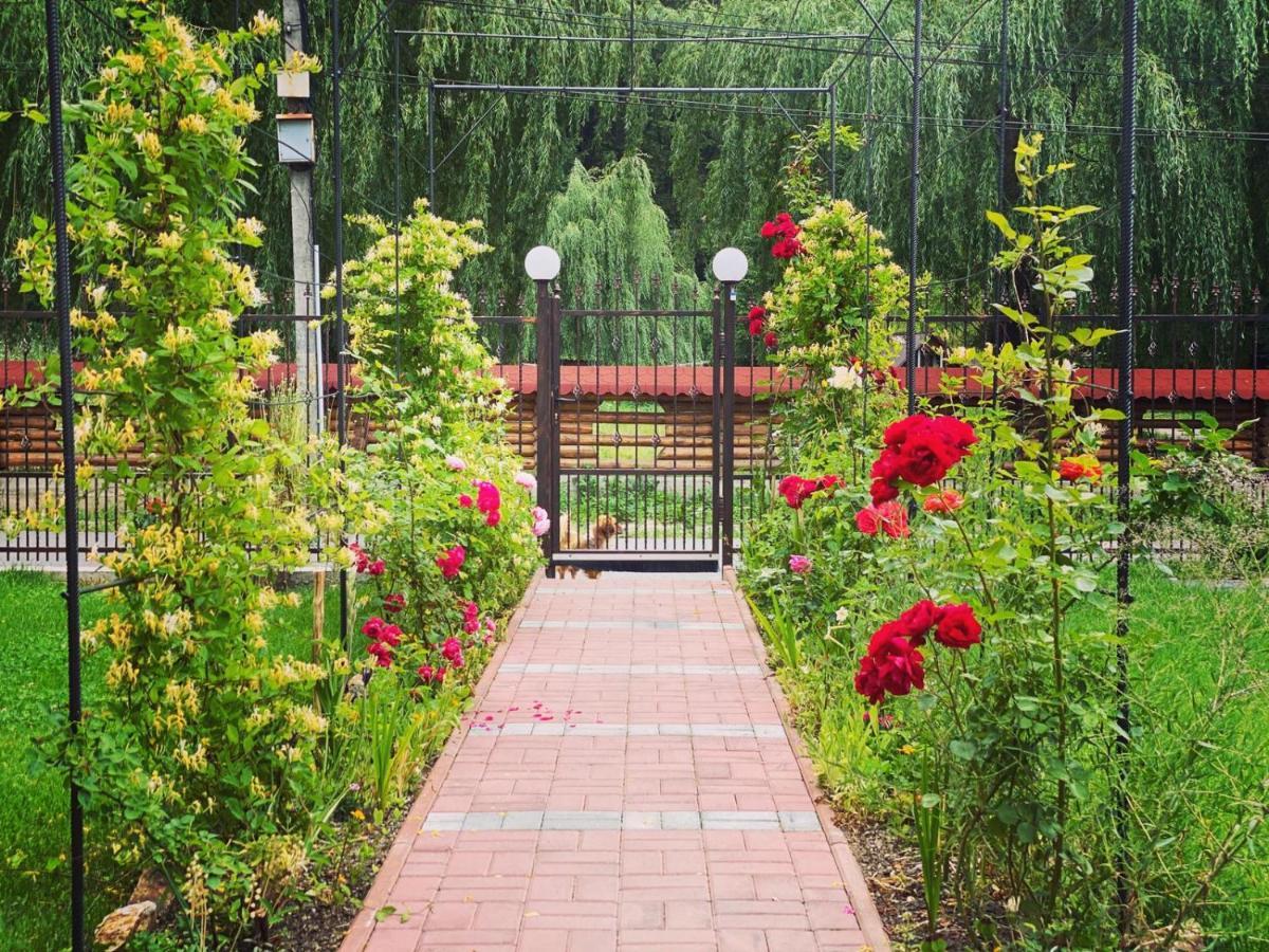 Maison Platanus Войняса Екстериор снимка