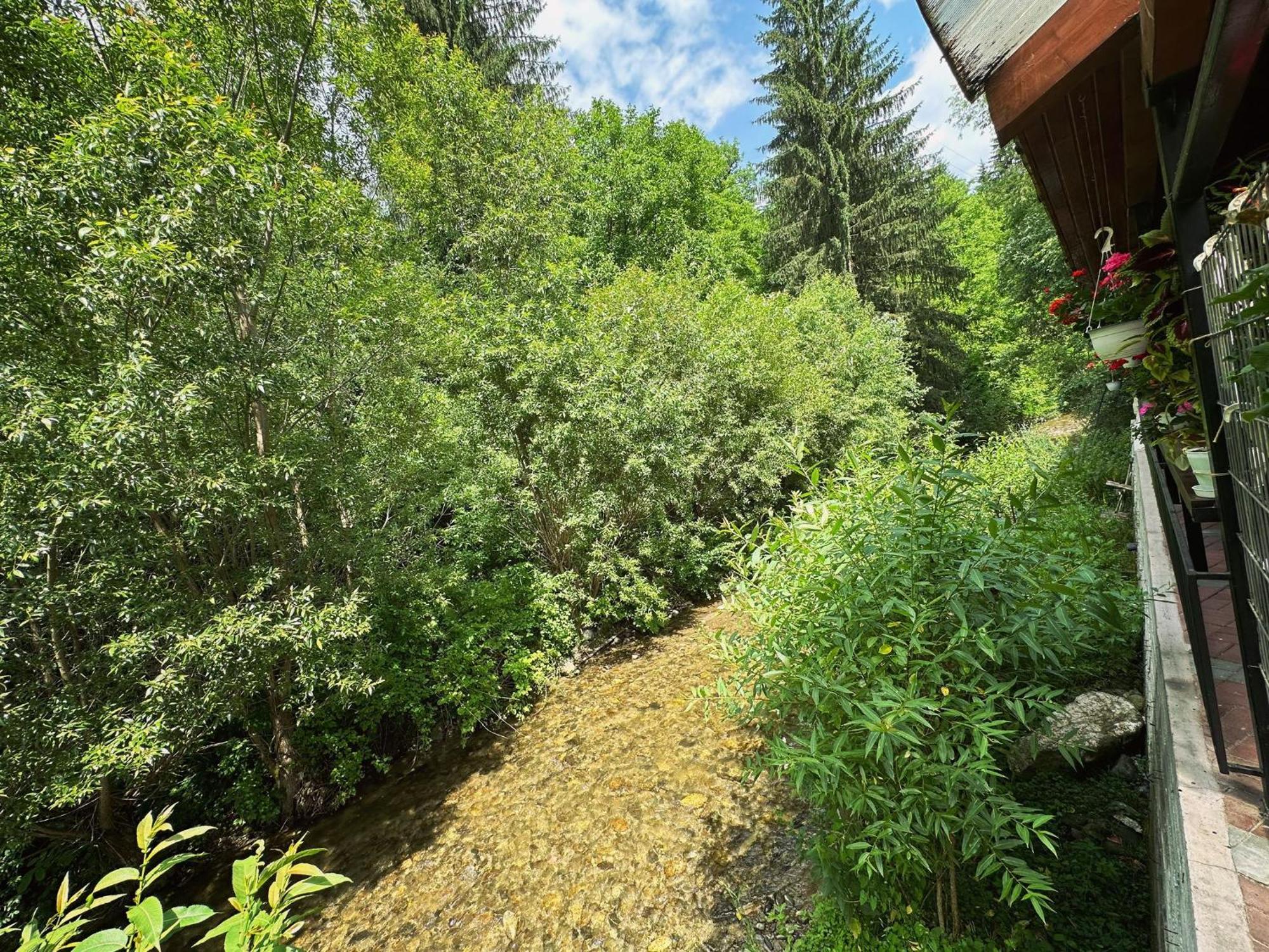 Maison Platanus Войняса Екстериор снимка